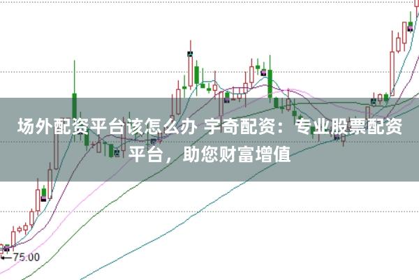 场外配资平台该怎么办 宇奇配资：专业股票配资平台，助您财富增值