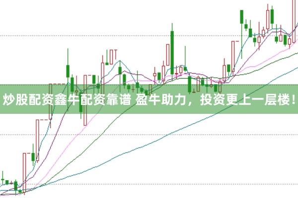 炒股配资鑫牛配资靠谱 盈牛助力，投资更上一层楼！