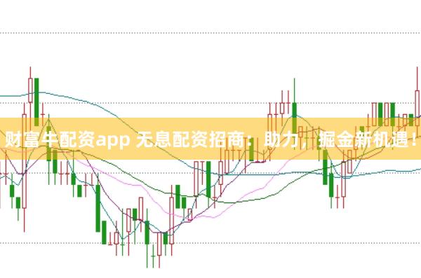 财富牛配资app 无息配资招商：助力，掘金新机遇！