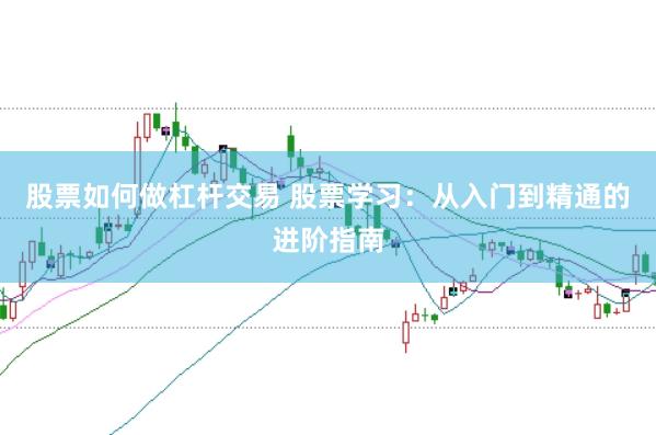 股票如何做杠杆交易 股票学习：从入门到精通的进阶指南