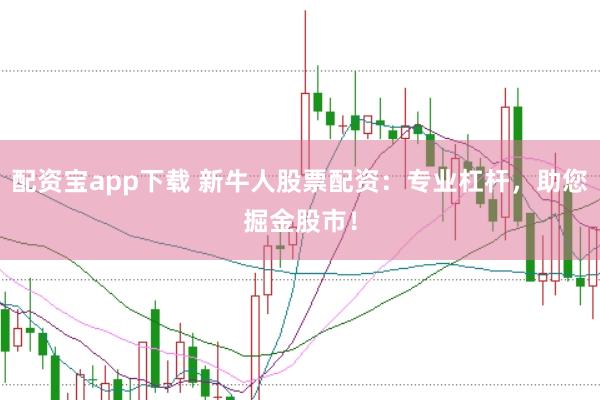 配资宝app下载 新牛人股票配资：专业杠杆，助您掘金股市！