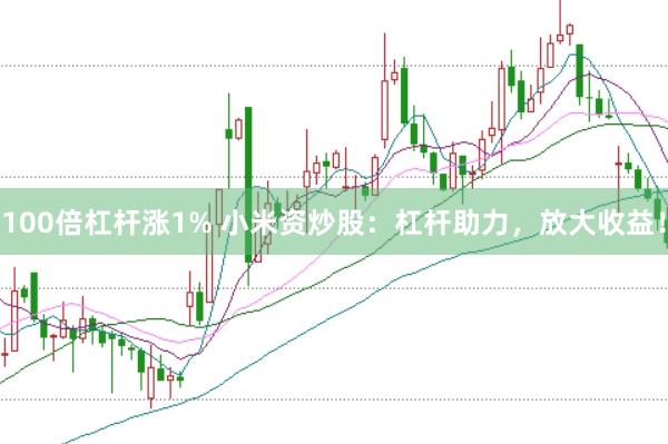 100倍杠杆涨1% 小米资炒股：杠杆助力，放大收益！