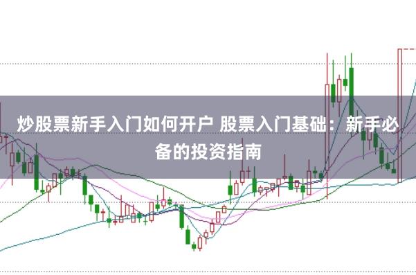 炒股票新手入门如何开户 股票入门基础：新手必备的投资指南