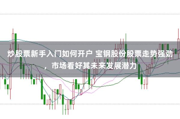 炒股票新手入门如何开户 宝钢股份股票走势强劲，市场看好其未来发展潜力