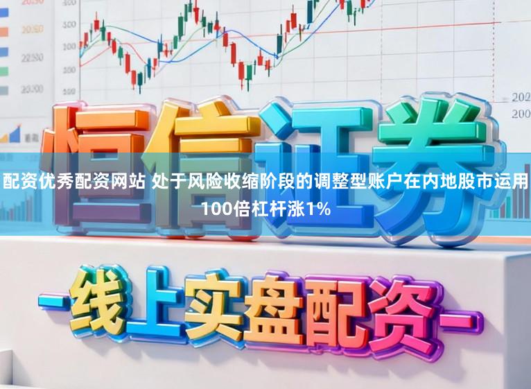配资优秀配资网站 处于风险收缩阶段的调整型账户在内地股市运用100倍杠杆涨1%