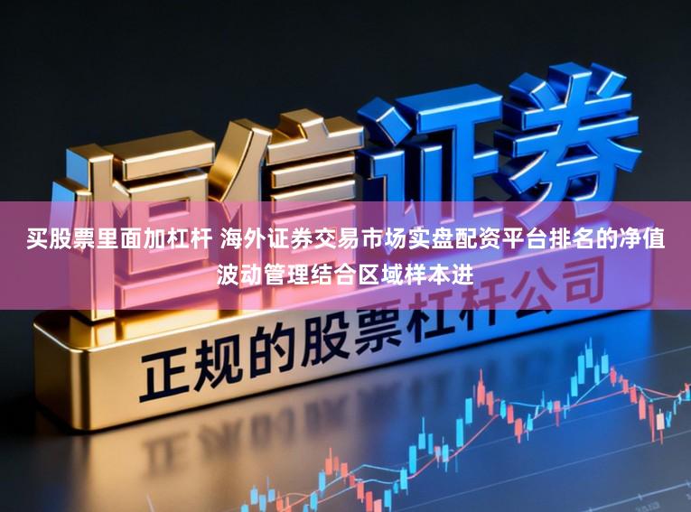 买股票里面加杠杆 海外证券交易市场实盘配资平台排名的净值波动管理结合区域样本进