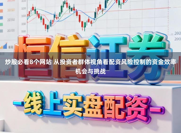 炒股必看8个网站 从投资者群体视角看配资风险控制的资金效率机会与挑战